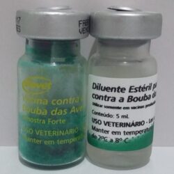 VACINA PINTINHO BOUBA FORTE AVIARIA  100 doses