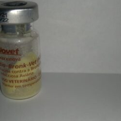Vacina para bronquite das aves 1000 doses