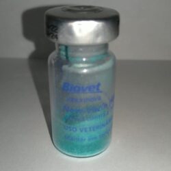Vacina New castle hb1 aviaria 2000 doses